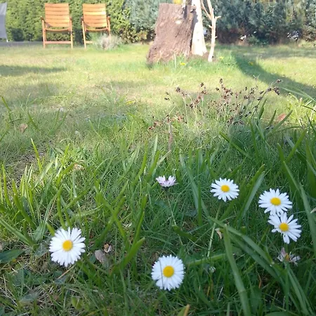 Sonnendeck